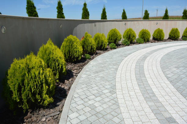 Best Concrete Paver Driveway  in Gentry, AR